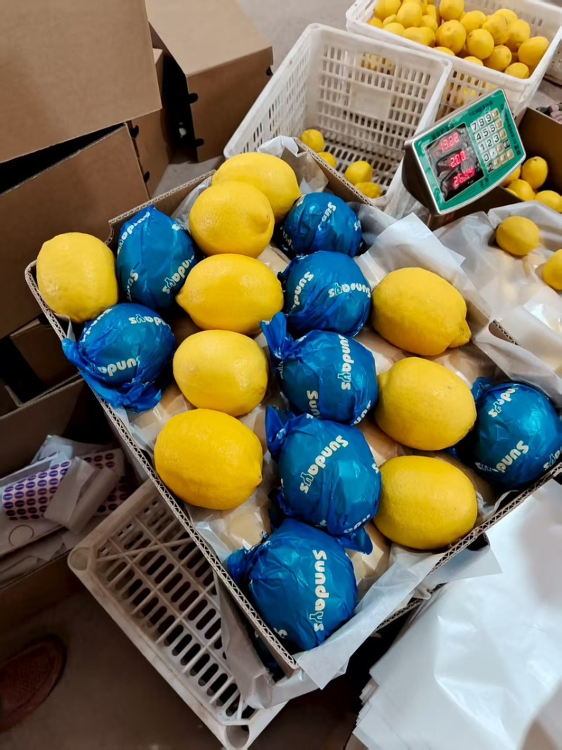 精品安岳柠檬产地直发一手货源质量保证代发全国