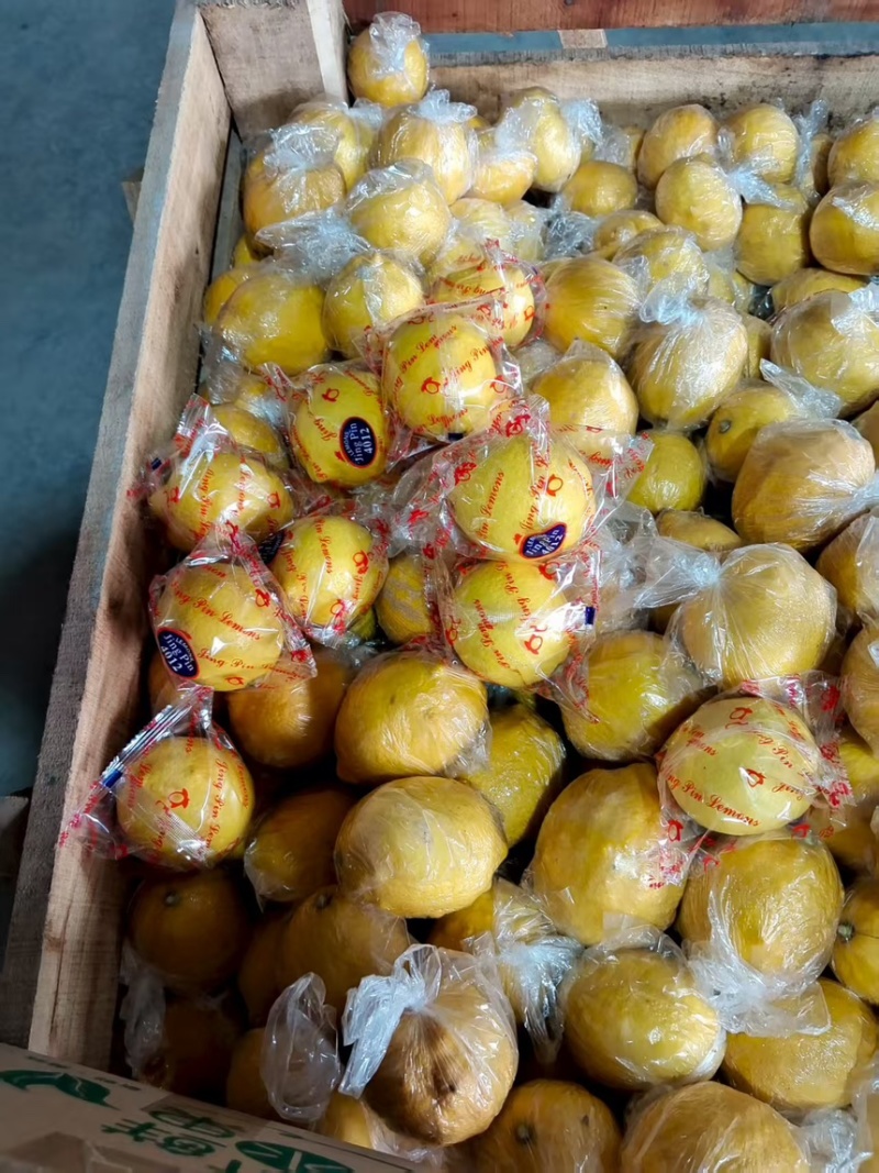 精品安岳柠檬产地直发一手货源质量保证代发全国