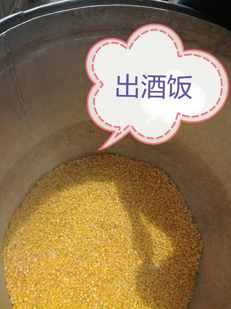 纯粮酒小锅酒