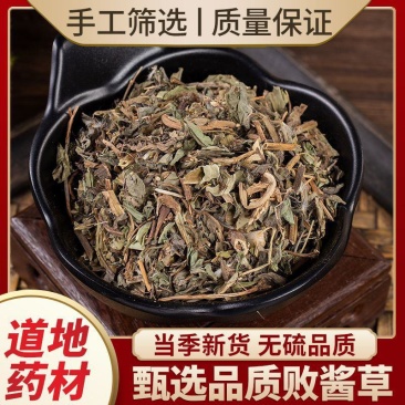 败酱草中药材正品北败酱草黄花败酱草野生正宗新货酱草