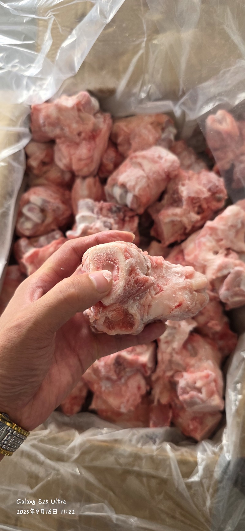 领汇去皮拐骨，带筋带肉，酱骨头专用