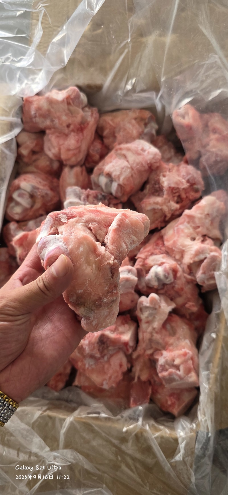 领汇去皮拐骨，带筋带肉，酱骨头专用