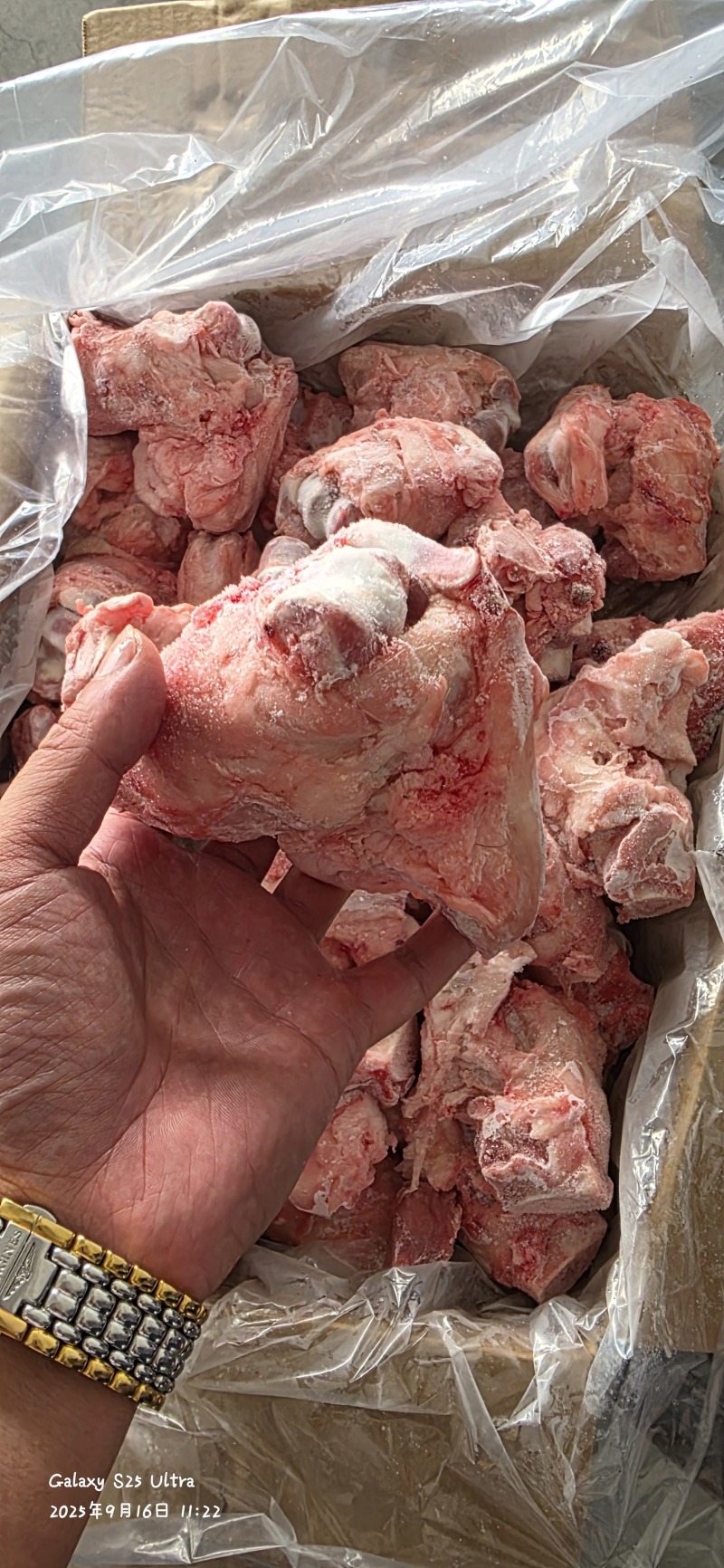 领汇去皮拐骨，带筋带肉，酱骨头专用