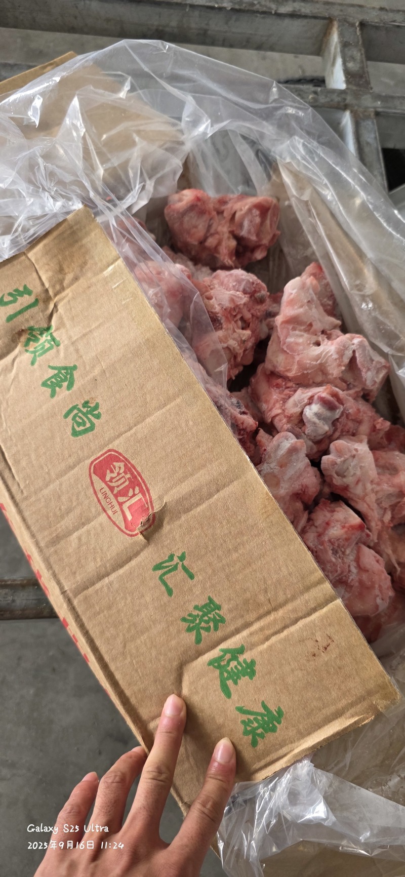 领汇去皮拐骨，带筋带肉，酱骨头专用