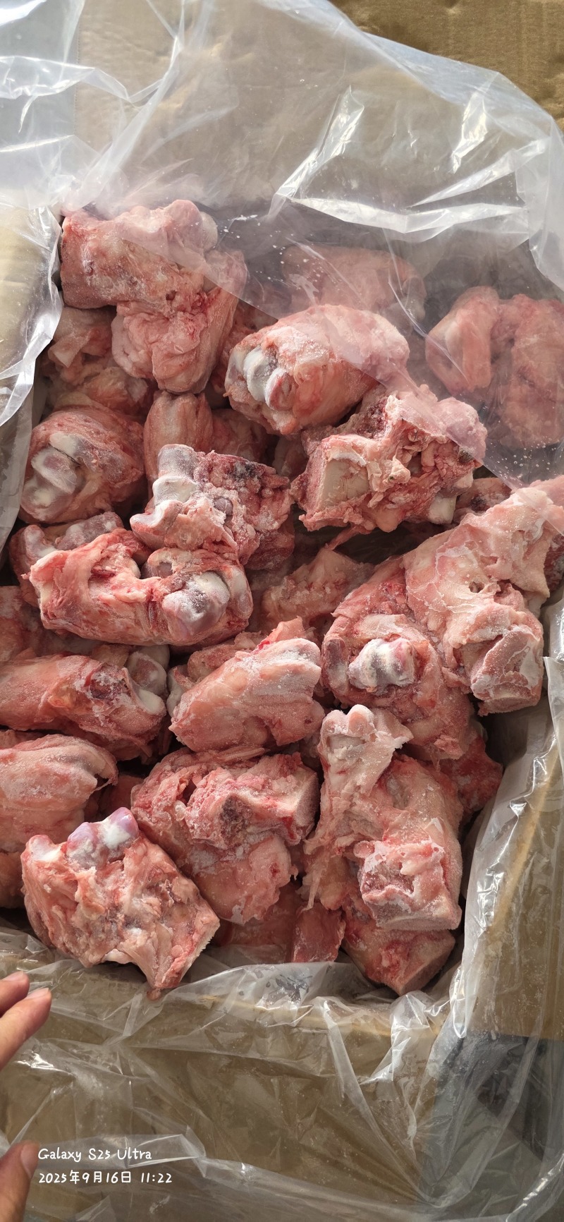 领汇去皮拐骨，带筋带肉，酱骨头专用
