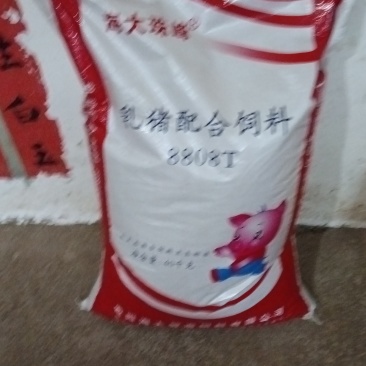 海大集团高端饲料
