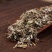 翻白草中药材正宗野生翻白草整根切段正品新鲜新货干品翻白草