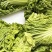 毛白菜小白菜鲜货口感佳价格实惠电商市场货都有质量很好
