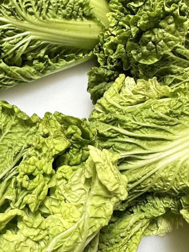 毛白菜小白菜鲜货口感佳价格实惠电商市场货都有质量很好