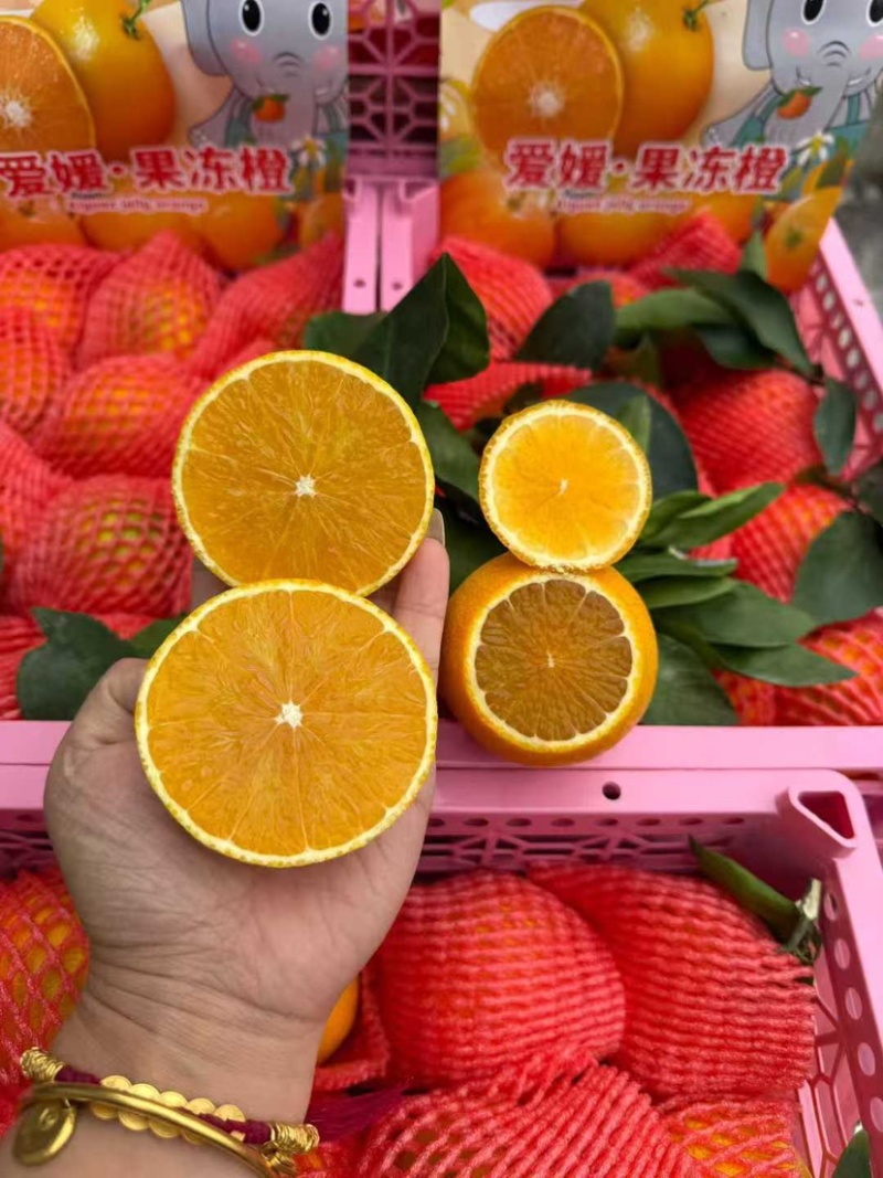 四川眉山爱媛橙大量上市品质保证欢迎各位老板来电洽谈