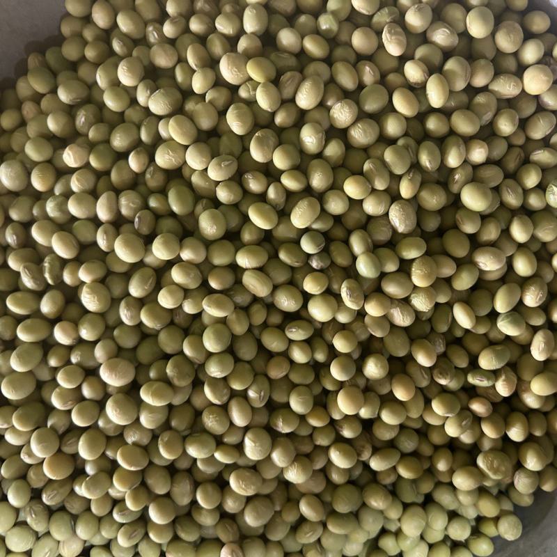 黄豆青皮黄豆农家自产自销欢迎老板下单