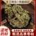 卷柏中药材生卷柏水洗卷柏九死还魂草石柏岩柏还阳草不