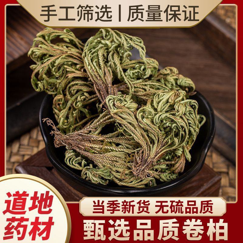 卷柏中药材生卷柏水洗卷柏九死还魂草石柏岩柏还阳草不