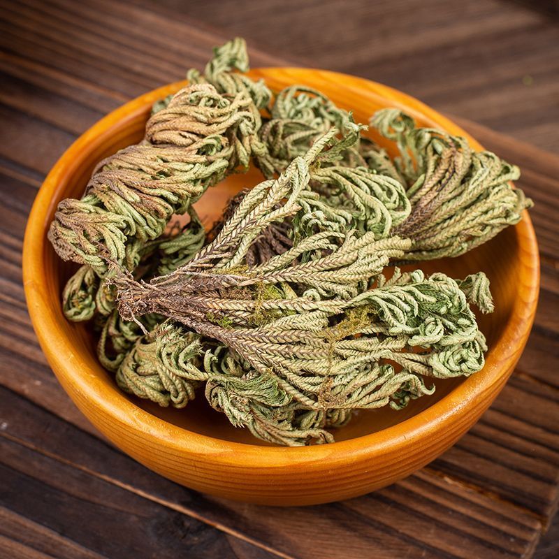 卷柏中药材生卷柏水洗卷柏九死还魂草石柏岩柏还阳草不