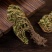 卷柏中药材生卷柏水洗卷柏九死还魂草石柏岩柏还阳草不