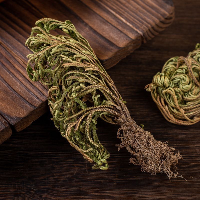 卷柏中药材生卷柏水洗卷柏九死还魂草石柏岩柏还阳草不