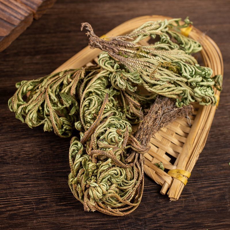 卷柏中药材生卷柏水洗卷柏九死还魂草石柏岩柏还阳草不