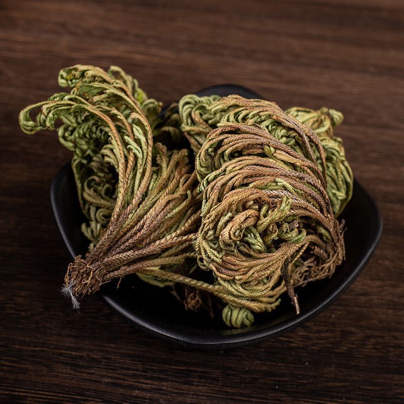 卷柏中药材生卷柏水洗卷柏九死还魂草石柏岩柏还阳草不