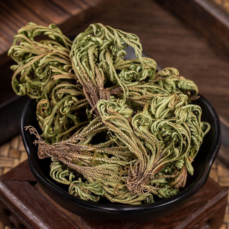 卷柏中药材生卷柏水洗卷柏九死还魂草石柏岩柏还阳草不