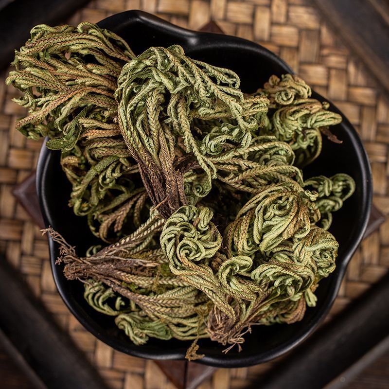 卷柏中药材生卷柏水洗卷柏九死还魂草石柏岩柏还阳草不