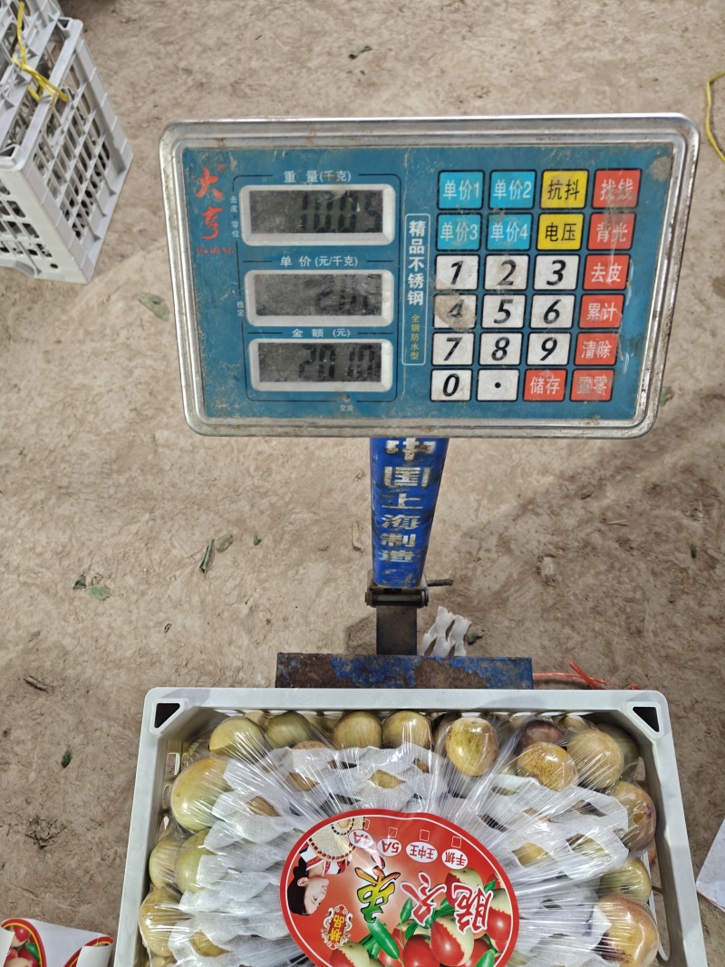 大荔冬枣