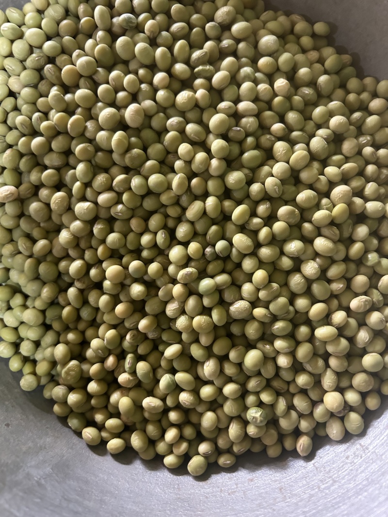 黄豆青皮黄豆农家自产自销欢迎老板下单