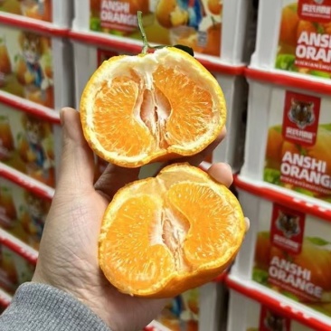 四川丑橘大量上市品质保证诚信经营欢迎各位老板