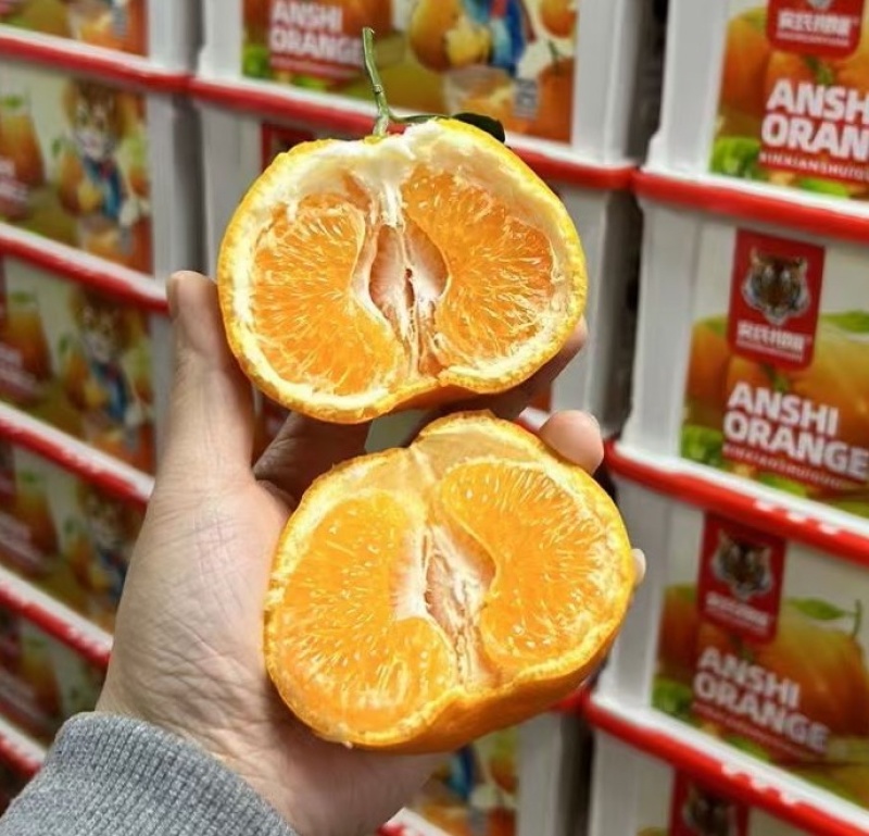 四川丑橘大量上市品质保证诚信经营欢迎各位老板
