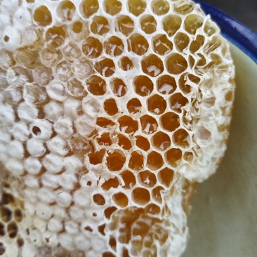 农家自产土蜂蜜
