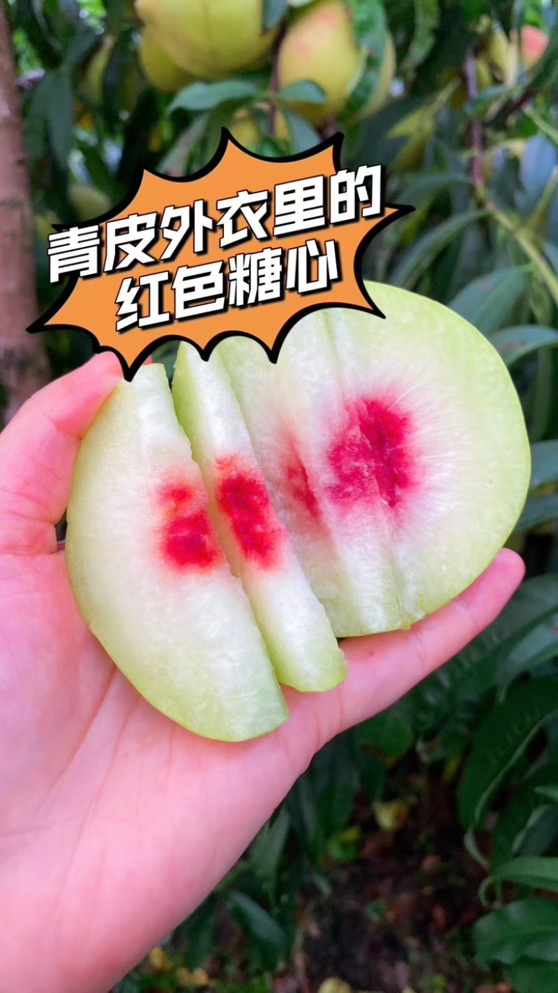 国庆中秋福利金秋红蜜月底开始