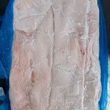 母猪肥膘24年下半年货25kg/袋3吨多临沂提货