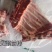袋装母猪去颈前排新货20kg/袋8片10吨一直产