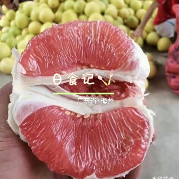 广东梅州蜜柚
