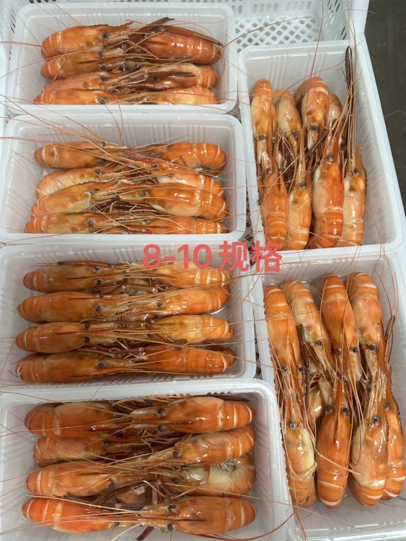 液氮速冻罗氏虾全规格，品质保障，可视频看货代发全国