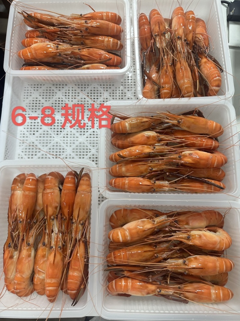 液氮速冻罗氏虾全规格，品质保障，可视频看货代发全国