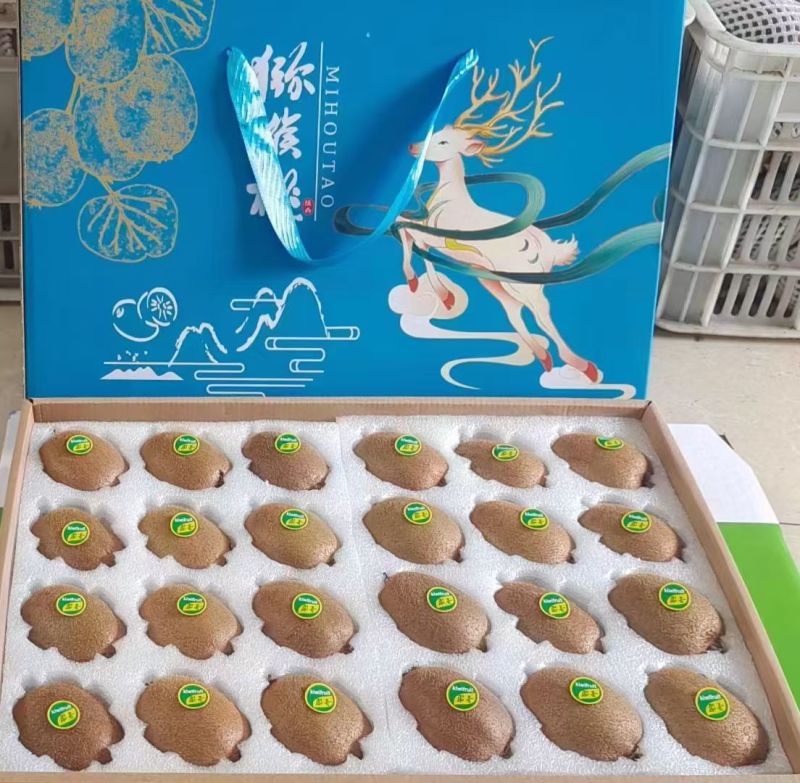 陕西周至猕猴桃基地，精品翠香猕猴桃，支持一件代发