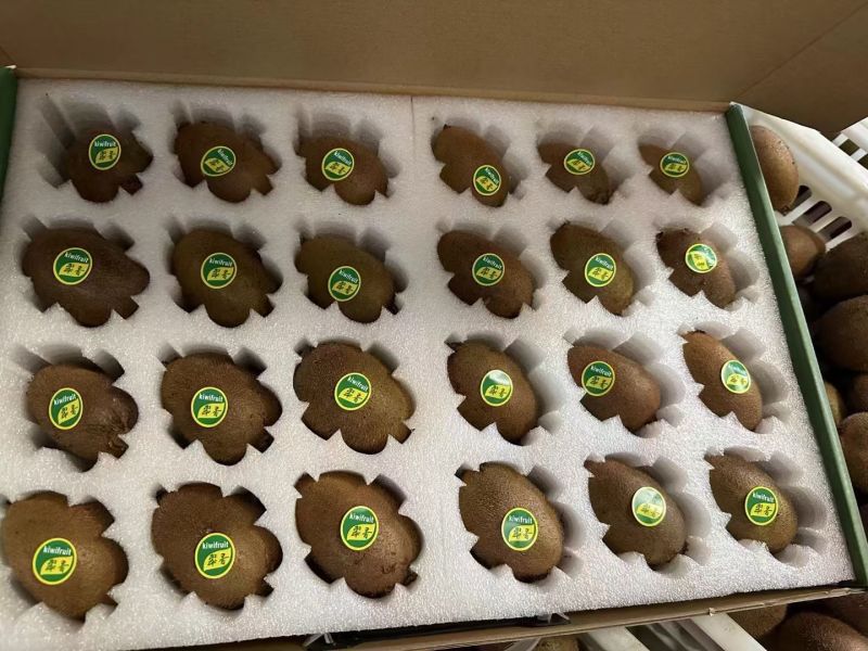 陕西周至猕猴桃基地，精品翠香猕猴桃，支持一件代发