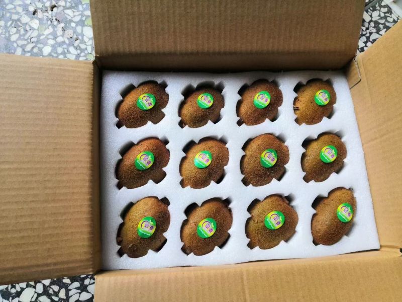 陕西周至猕猴桃基地，精品翠香猕猴桃，支持一件代发