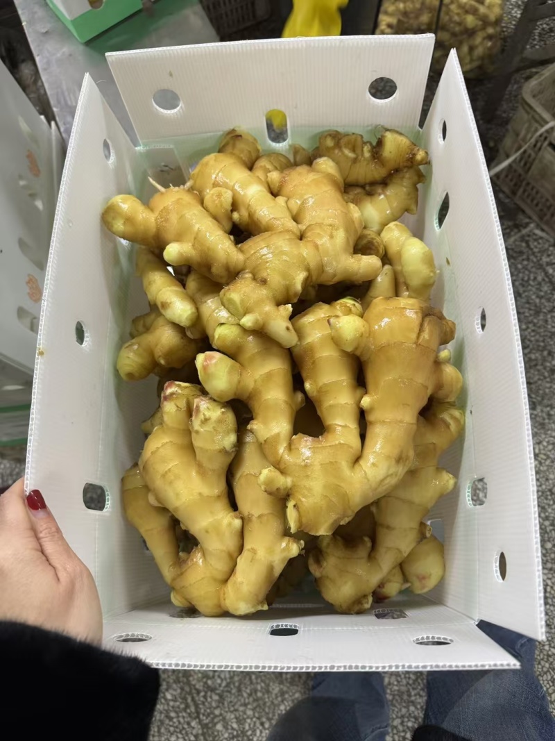 大姜出口加工丨产地直发丨货源稳定丨按需做货丨欢迎洽谈合作