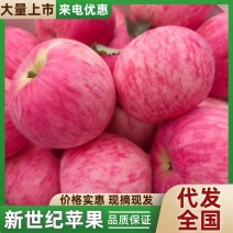 新世纪苹果基地直供对接代收代卖全国可走货对接批发市场
