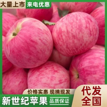 新世纪苹果基地直供对接代收代卖全国可走货对接批发市场