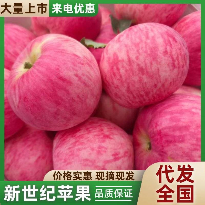 新世纪苹果基地直供对接代收代卖全国可走货对接批发市场