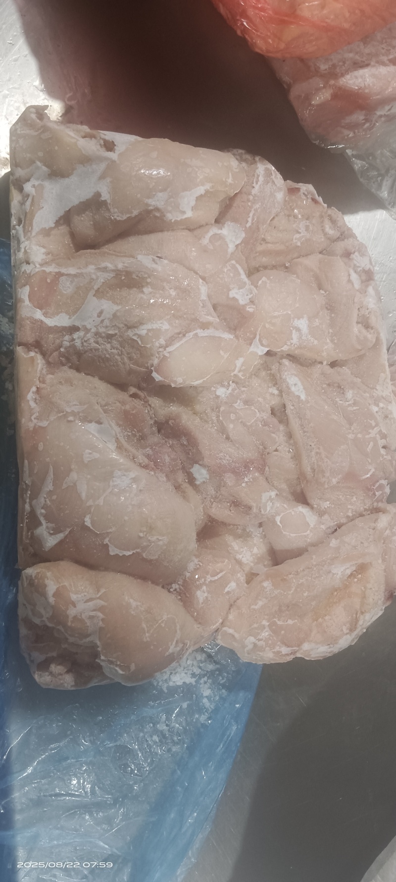 500天左右老鸡大胸