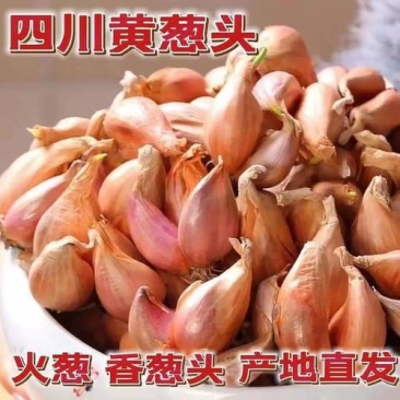 燕子农副产品批发零售