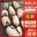 千亩莲藕，莲藕3735品质好，口感面，甜，质量三包一手货源