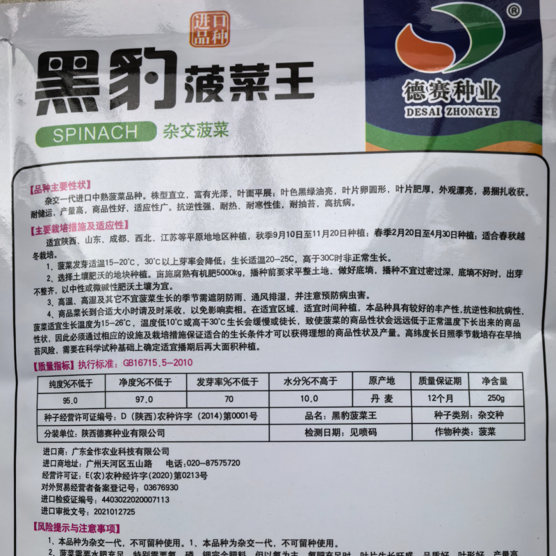 黑豹菠菜王种子丹麦进口耐抽苔大圆叶捆扎耐寒越冬红根菠菜种