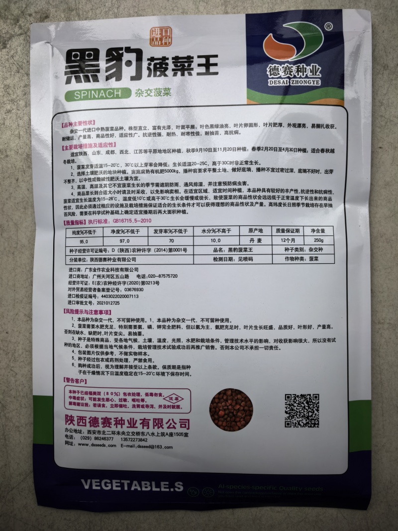黑豹菠菜王种子丹麦进口耐抽苔大圆叶捆扎耐寒越冬红根菠菜种