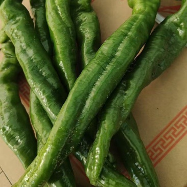 螺丝椒