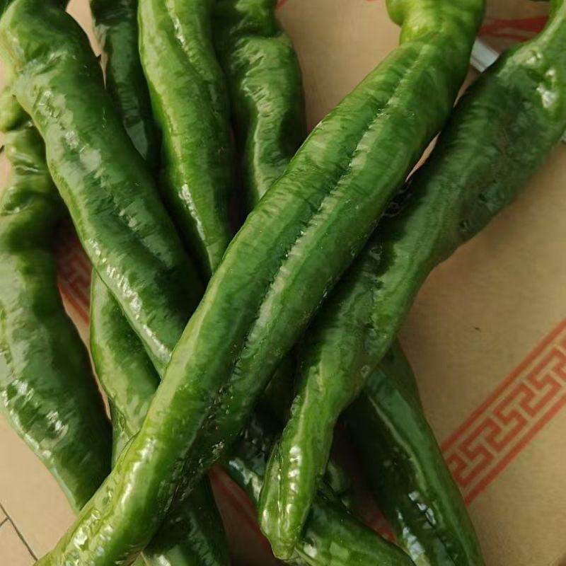 螺丝椒