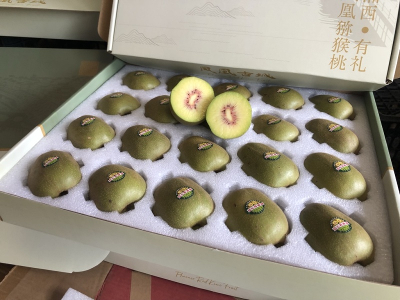 凤凰古城红心猕猴桃精品礼盒套装，顺丰包邮！